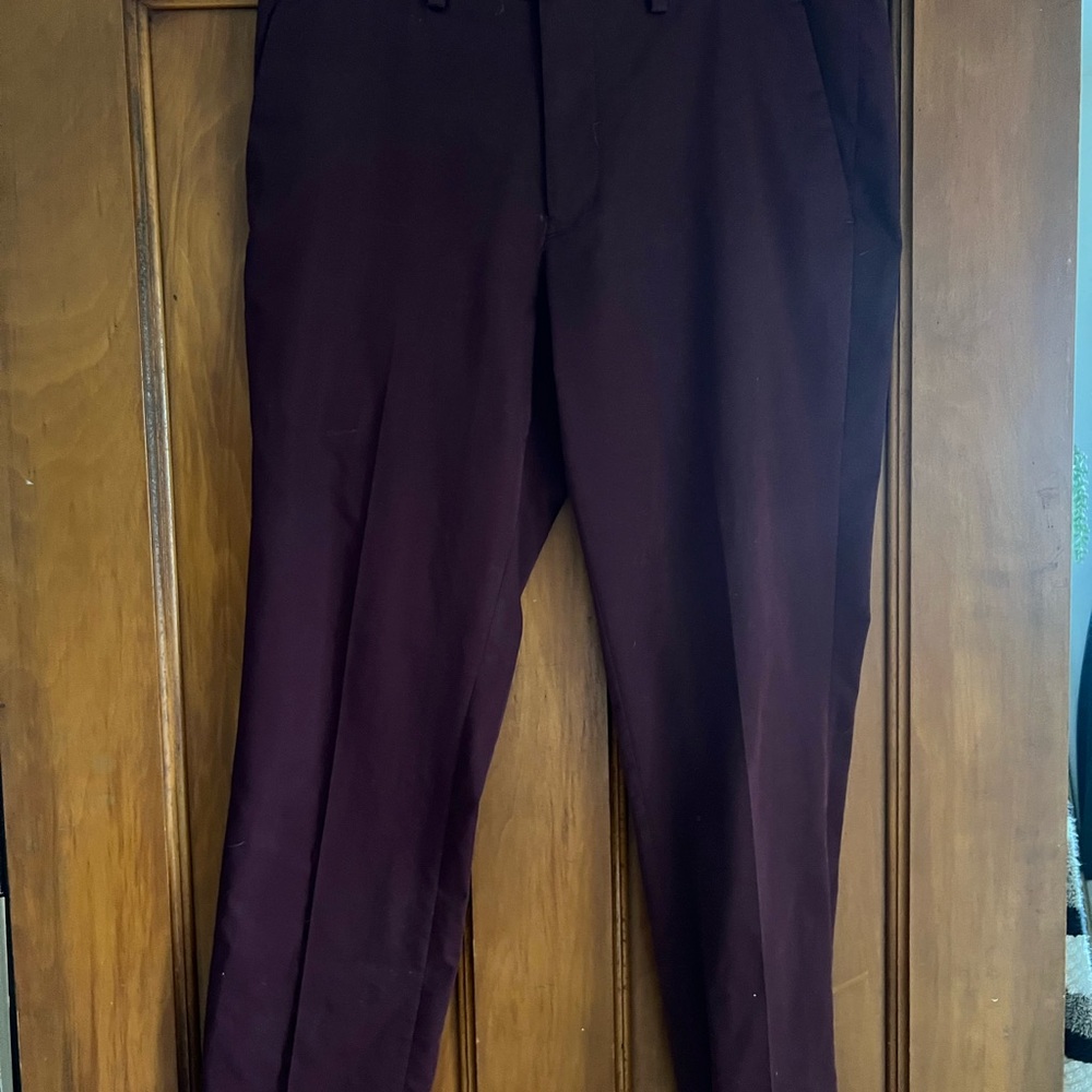 Express Men's Deep Burgundy Dress Pants